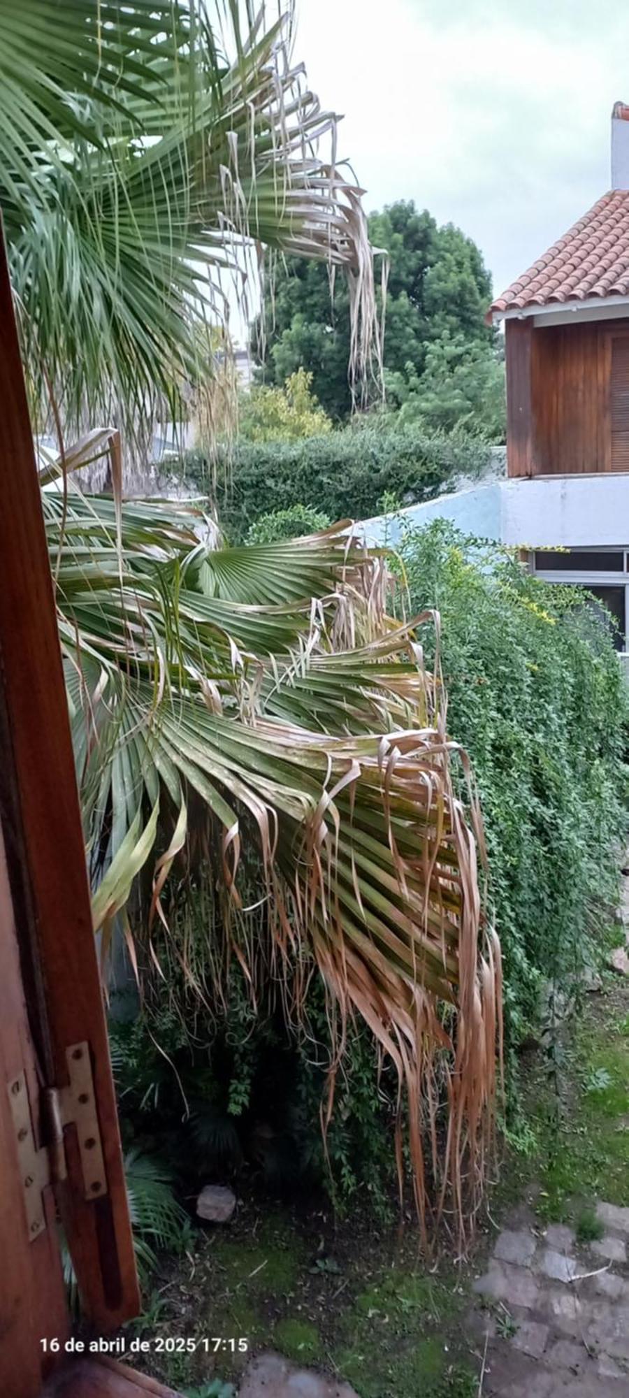 Ezeiza Bed And Breakfast ภายนอก รูปภาพ